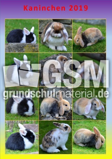 Kaninchen_Kalender_2019_1.pdf